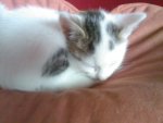 Foto0564.jpg