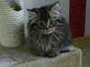 DSC00059.JPG