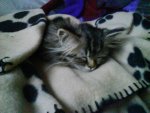 DSC00091.jpg