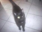 Rusty 022.jpg
