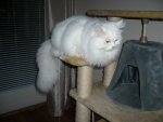 Momo_30.12.08_010_640x480.JPG
