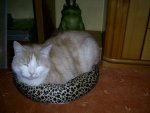 ebayjan09 010.jpg