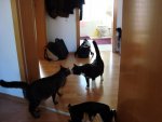 DSC00212.jpg