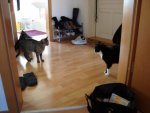 DSC00218.jpg