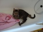 DSC00235.jpg