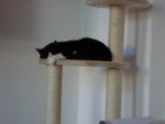 DSC00232.jpg