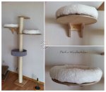 petfun-wandbettchen.jpg