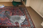 IMG_3143 - Kopie.jpg IMG_3143 - Kopie.jpg