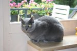 IMG_3160 - Kopie.JPG