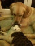 IMG_0324.jpg IMG_0324.jpg