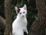 DSCF7613.jpg