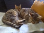 IMG-20111018-00375.jpg