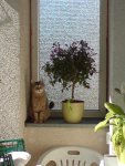 27.07.2010 041.jpg