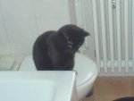 11.05.2010 124.jpg
