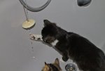 Kinnie und das nasse Element.jpg