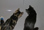 Brimba und Kinnie singing in the rain.jpg
