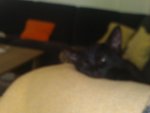WP_000210.jpg