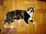 DSC01974.jpg