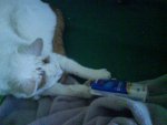 DSC00720.jpg