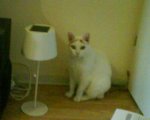 DSC00748.jpg
