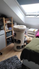 IMG-20230126-WA0007.jpeg