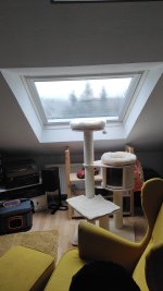 IMG-20230126-WA0005.jpeg