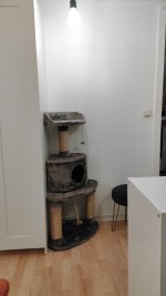 IMG-20230125-WA0014.jpeg