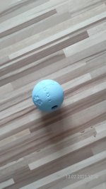 P_20230213_121759.jpg