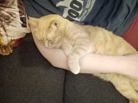 335975229_127755523587176_6328559535888110585_n.jpeg