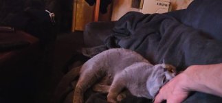 VideoCapture_20230322-203300.jpg