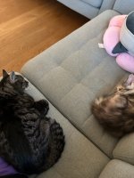 IMG_0944.jpeg