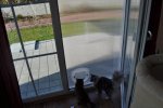 DSC_4156.jpg