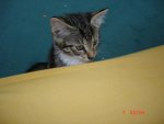 DSC06900.jpg
