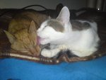 DSC03984.JPG