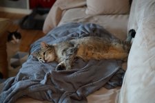 DSC00392.JPG