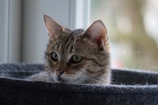 DSC00406.JPG