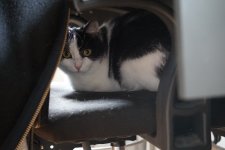 DSC00402.JPG