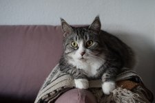 DSC00373.JPG