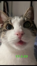 F227D48D-4BDF-43E1-95C1-984EB580F4A7.jpeg