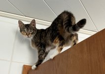 IMG_0712.JPEG