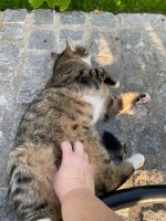 IMG_1185.jpeg