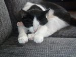 Kopie von P1060285.JPG
