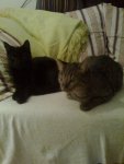 foto0013_001.jpg