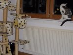 DSCN0491.jpg