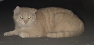 IMG_0755.jpeg