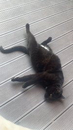IMG_6663.jpeg