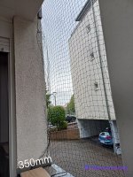 IMG20230725110723.jpg
