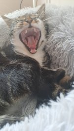 IMG-20230711-WA0022.jpeg