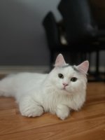 IMG_6836.jpeg