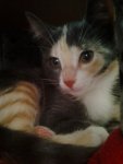 Foto0289.jpg